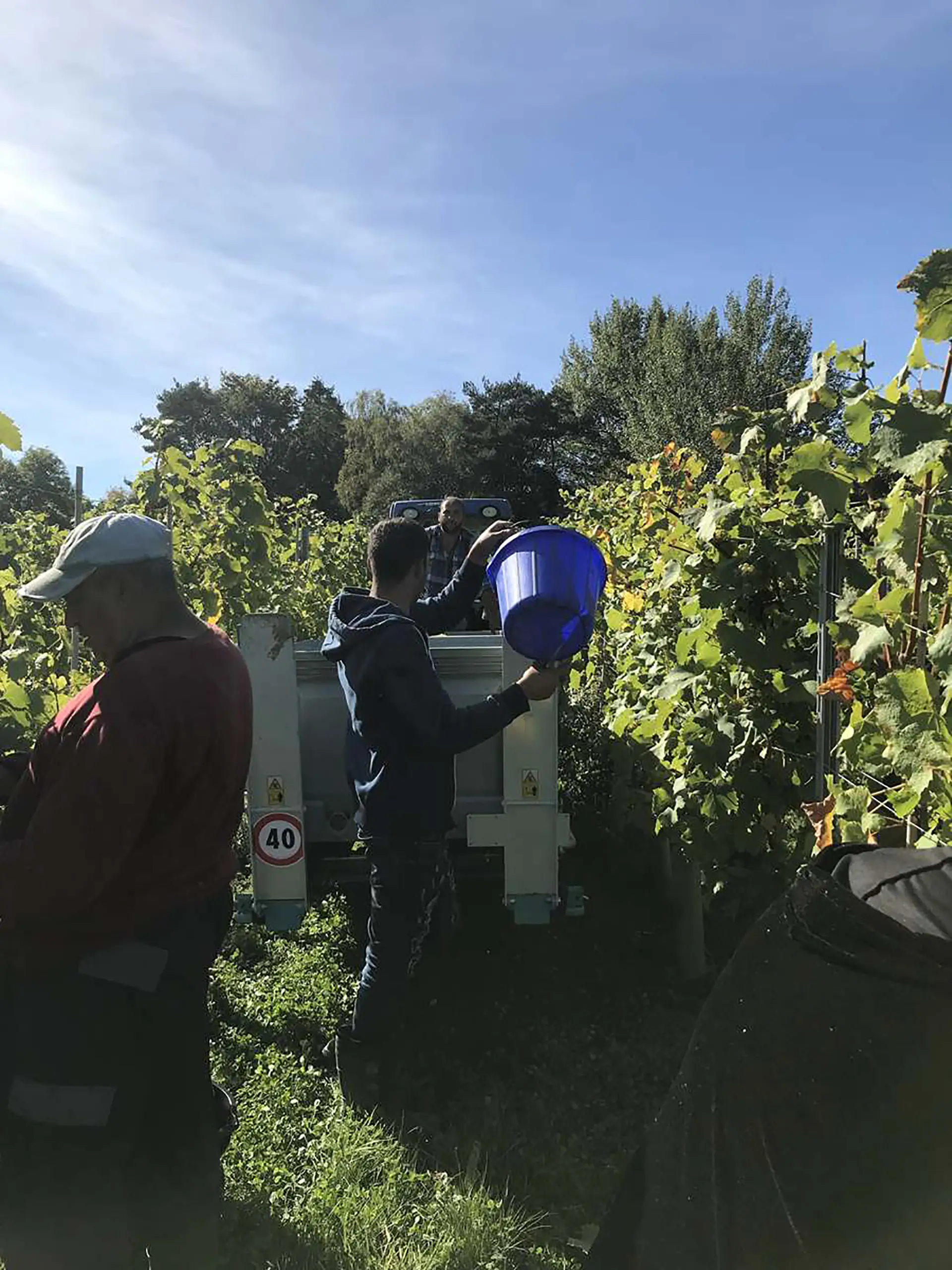eco-s-facilitare-operazioni-di-raccolta