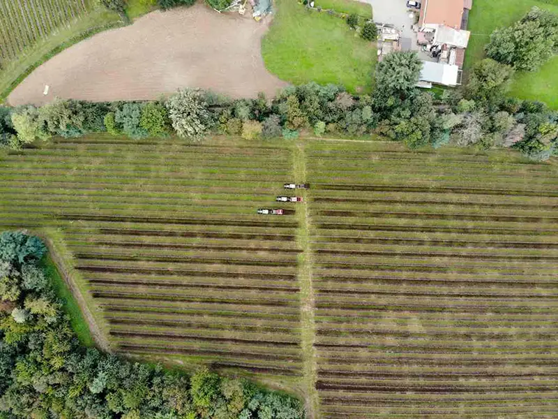 realizzazione-su-misura-macchine-agricole-interfilari