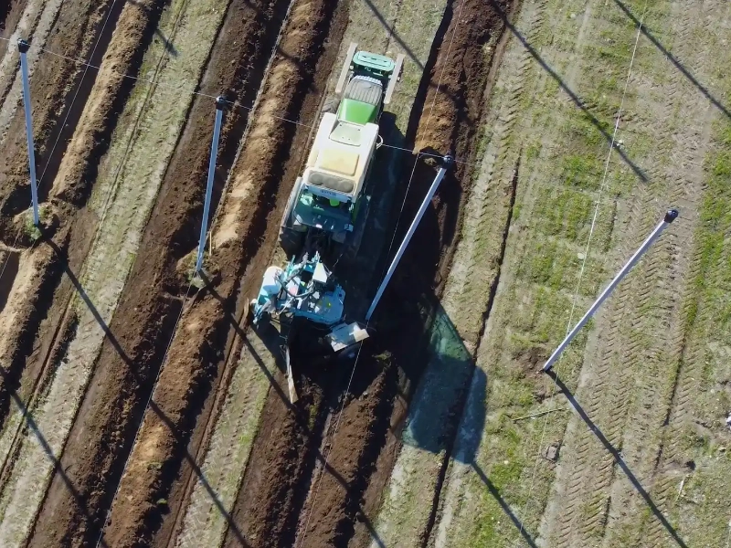 lavorazione-precisa-del-terreno-tra-i-filari